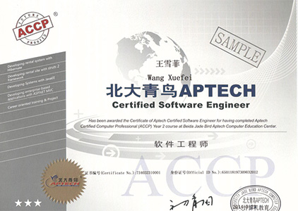 ��������ʦ